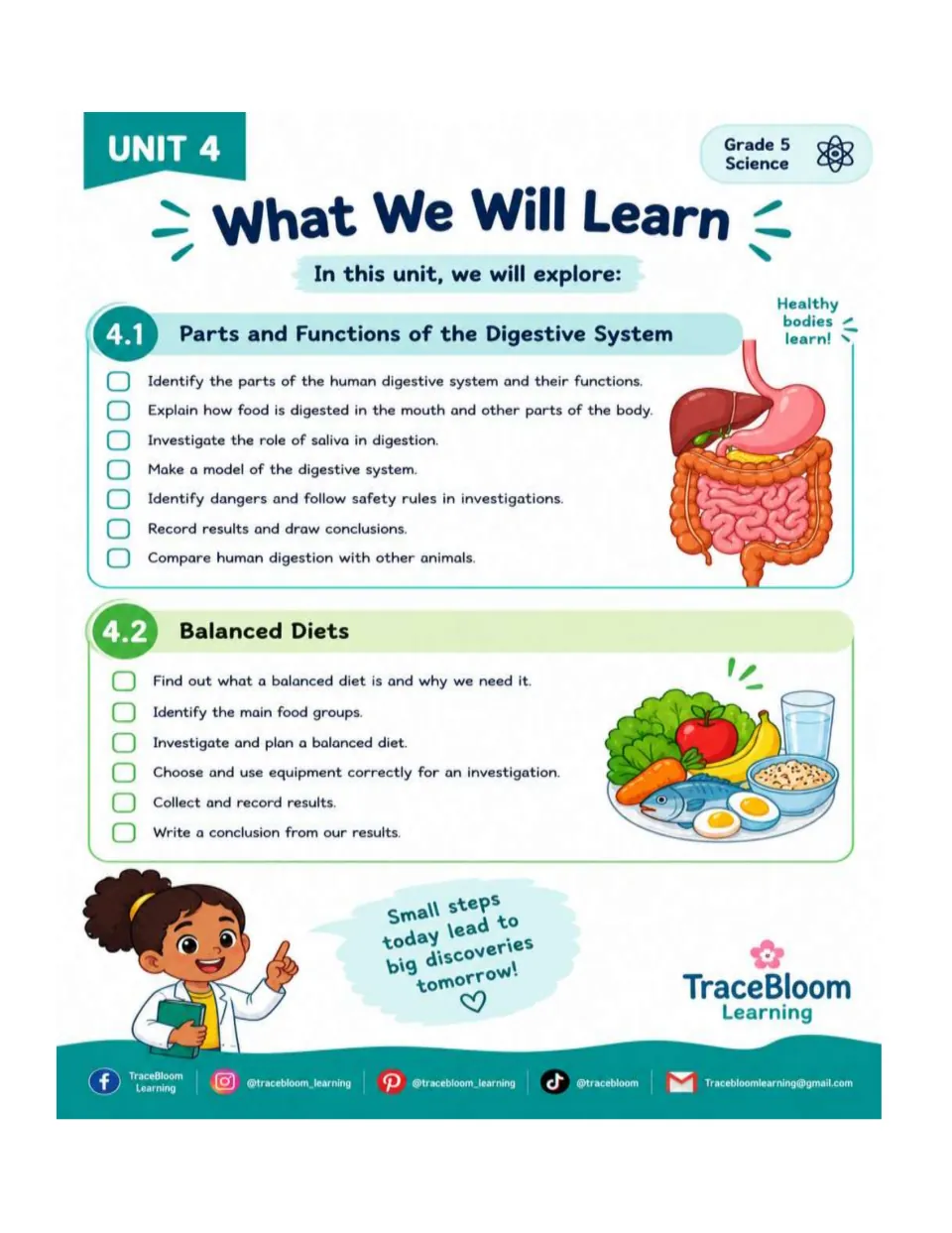 Workbook learning goals cover digestive organs, saliva investigations, models, food groups, and balanced diets