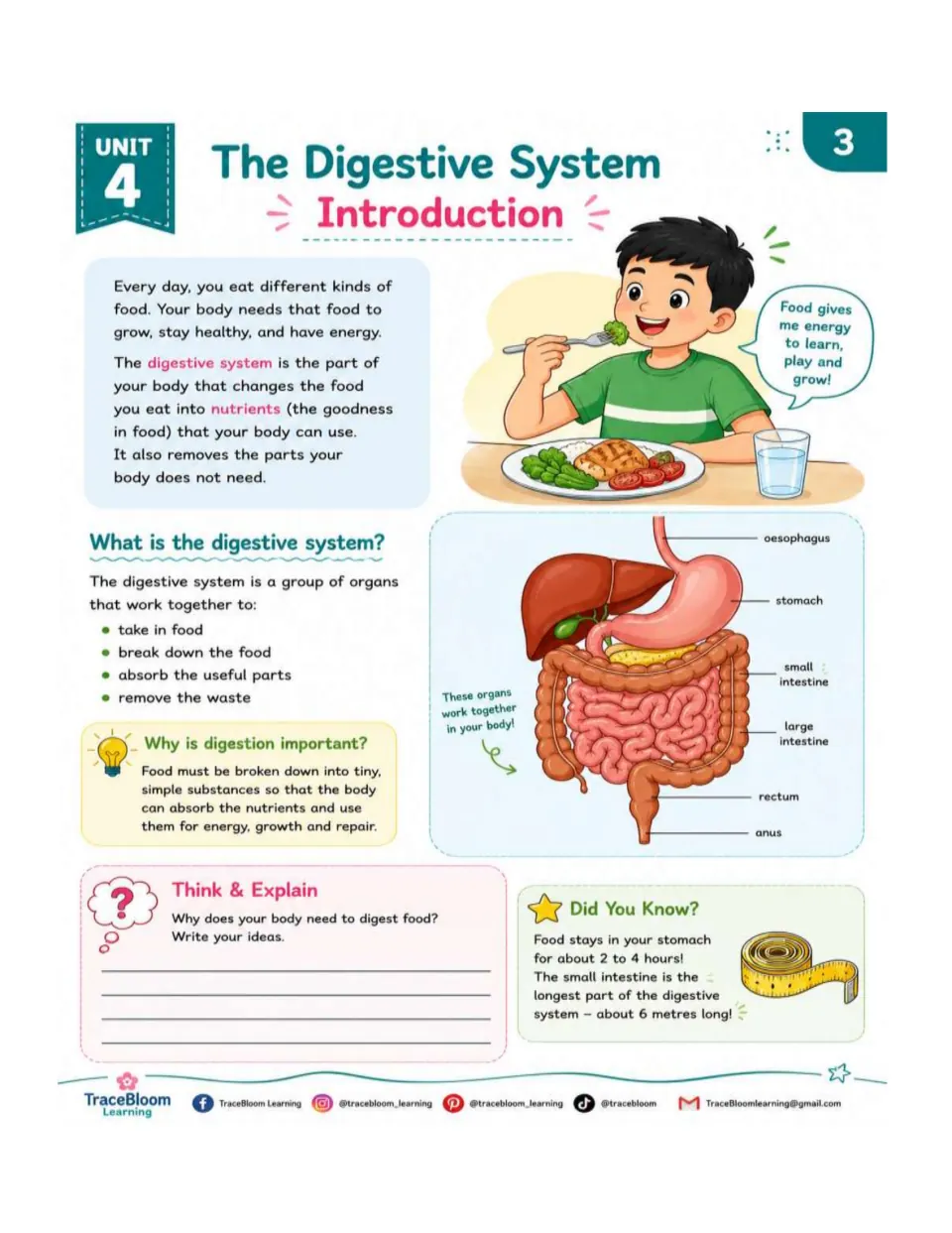 First introduction explains digestion, nutrient absorption, and waste removal, with a labeled organ diagram
