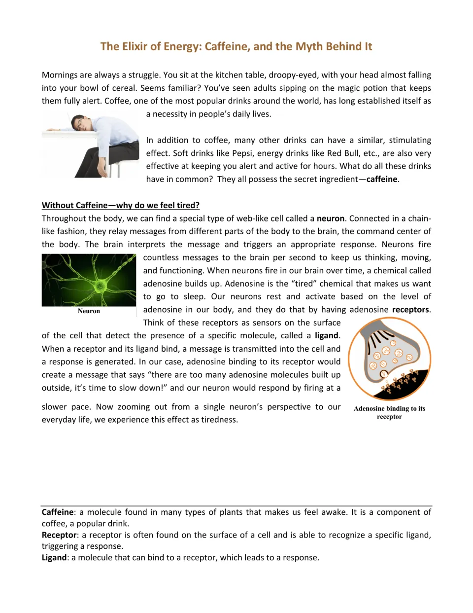 Opening caffeine article page explains tiredness, neurons, adenosine, and how ligands bind to receptors.