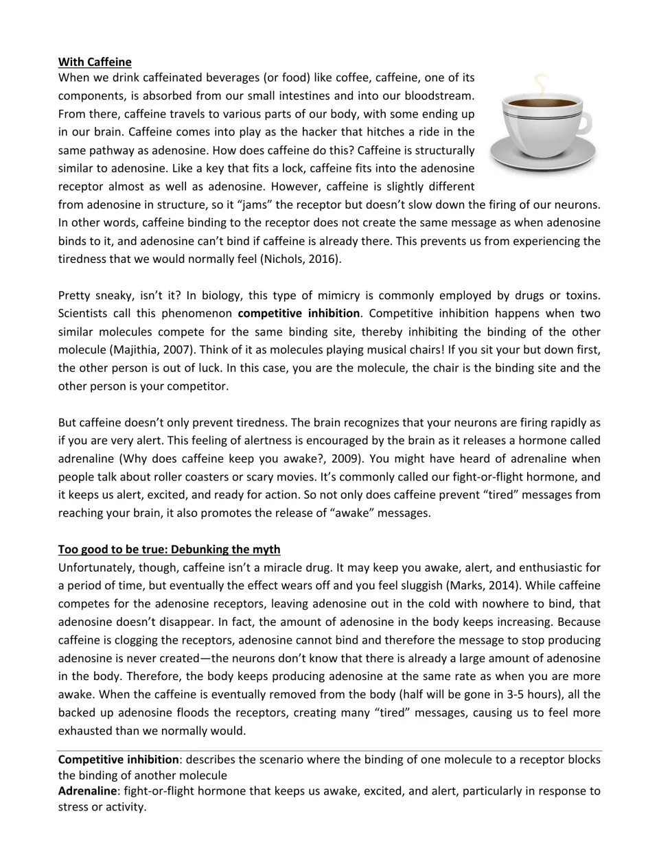 Second caffeine article page explains competitive inhibition, adrenaline, and tiredness after caffeine wears off.