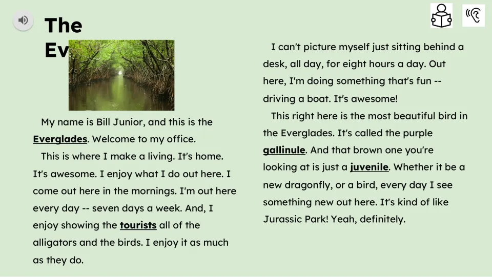 Reading passage opening: Bill Junior describes guiding tourists, driving a boat and spotting wetland birds