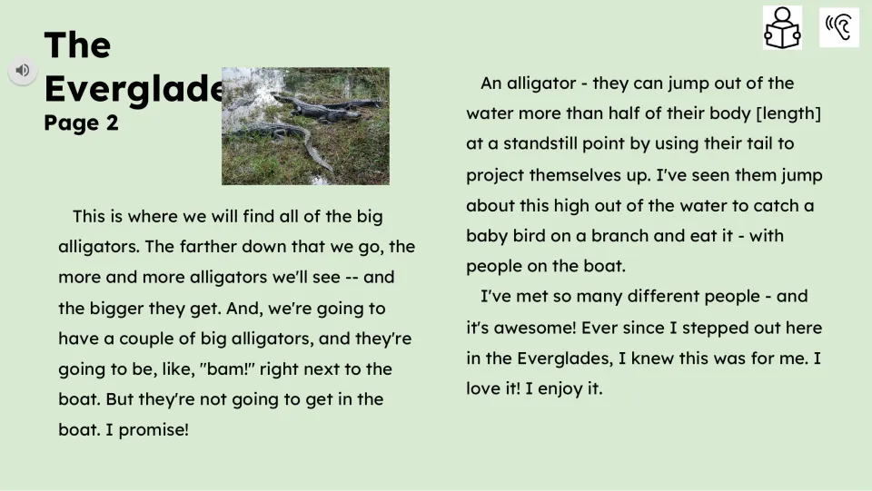 Reading passage continuation describing alligators near the boat, their jumping ability and the guide’s work