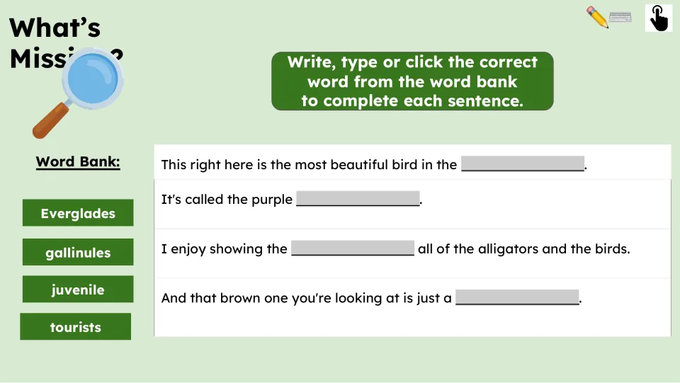 Vocabulary practice asking students to complete four passage sentences using an Everglades word bank