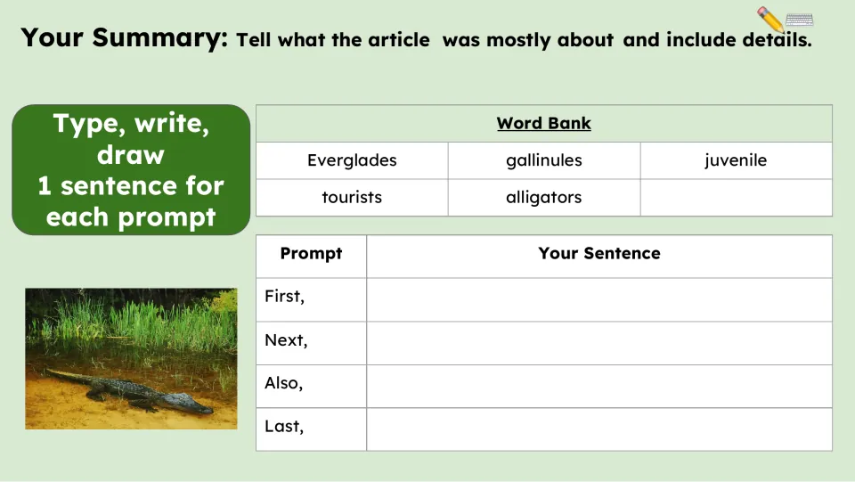 Summary activity asking for one sentence each after First, Next, Also and Last, with a wildlife word bank