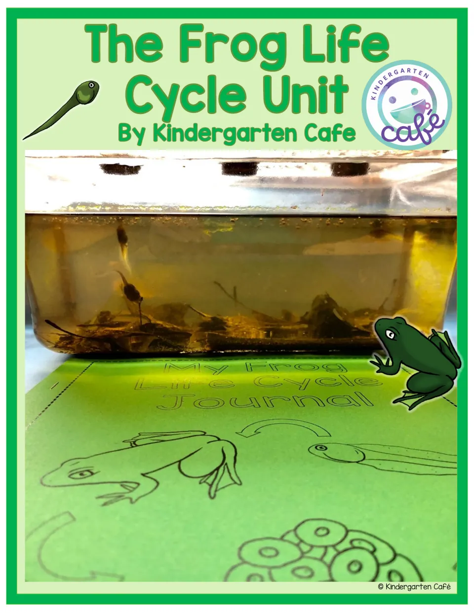 The Frog Life Cycle Unit cover by Kindergarten Cafe, showing a tadpole tank above a student journal