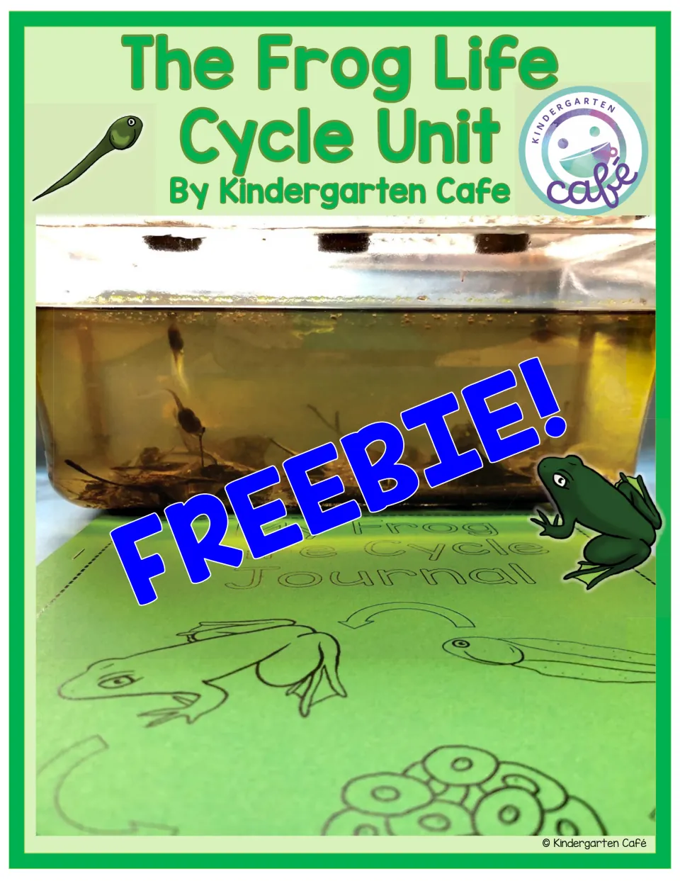 Frog life cycle unit cover by Kindergarten Cafe: photo of tadpoles in a tank above a frog life cycle journal page