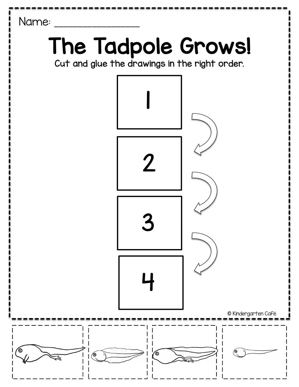 The Tadpole Grows! sequencing: students cut out 4 tadpole drawings and glue them in growth order from 1 to 4