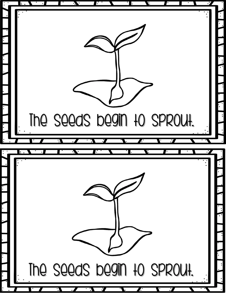 Growth stage: a small sprout with two leaves rising from a mound of dirt, with the sentence 'The seeds begin to sprout.'