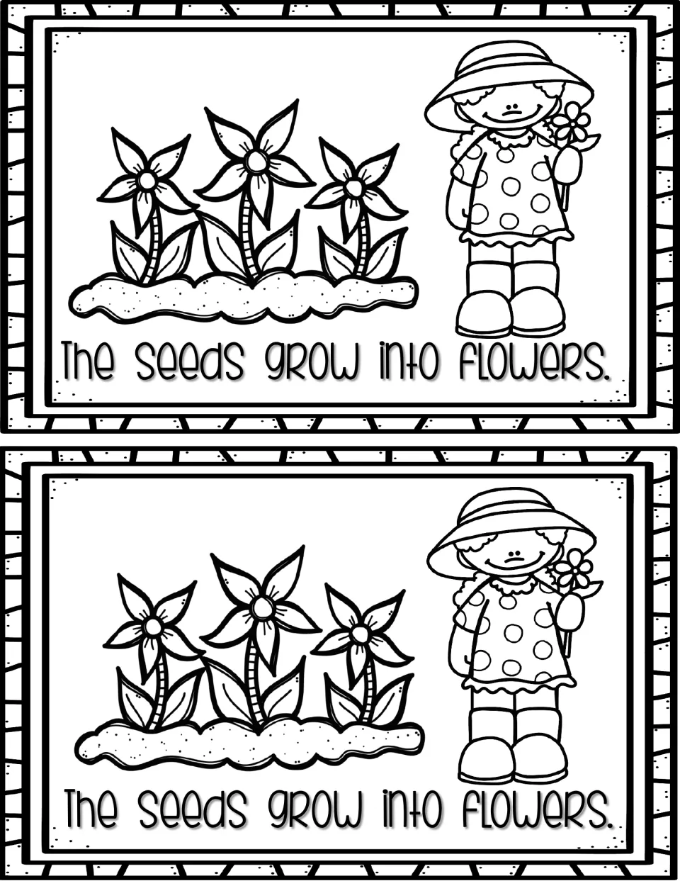 Final page: three flowers bloom in a garden bed beside a girl in a sun hat; 'The seeds grow into flowers.'
