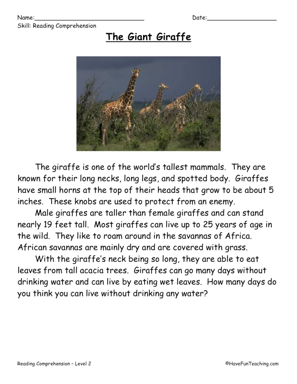 Nonfiction reading passage about giraffes' height, body features, African savanna habitat, and diet.