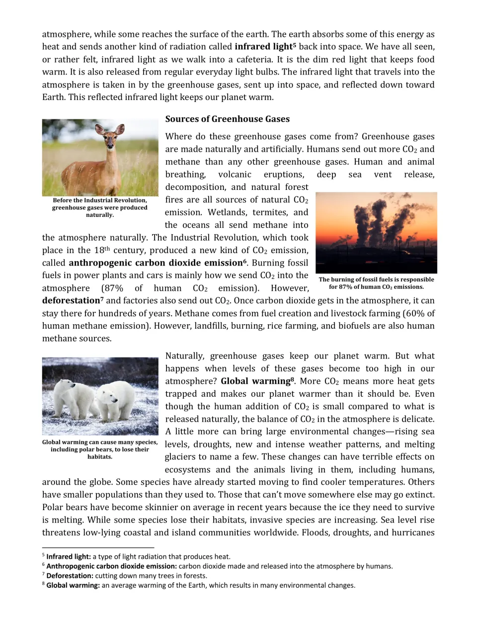 Sources of greenhouse gases: students read about natural and human CO2 and methane sources and global warming's effects