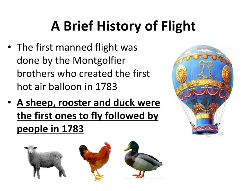 Montgolfier brothers' 1783 hot air balloon: notes on the first manned flight, with a sheep, rooster and duck flying first