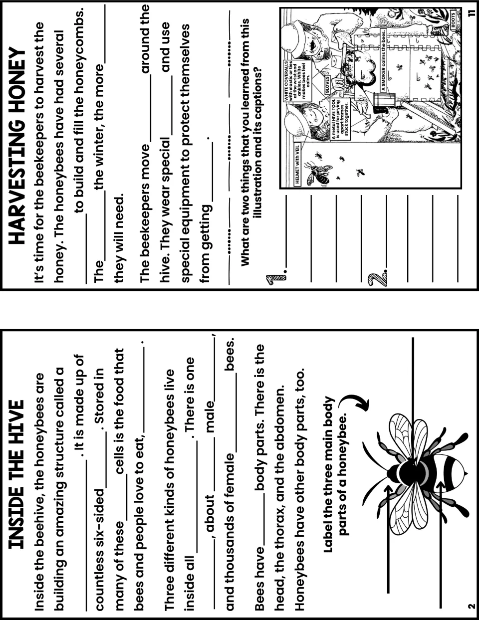 Notes booklet pages 2 and 11 cover hive structure, bee body parts, honey harvesting, and beekeeper equipment.