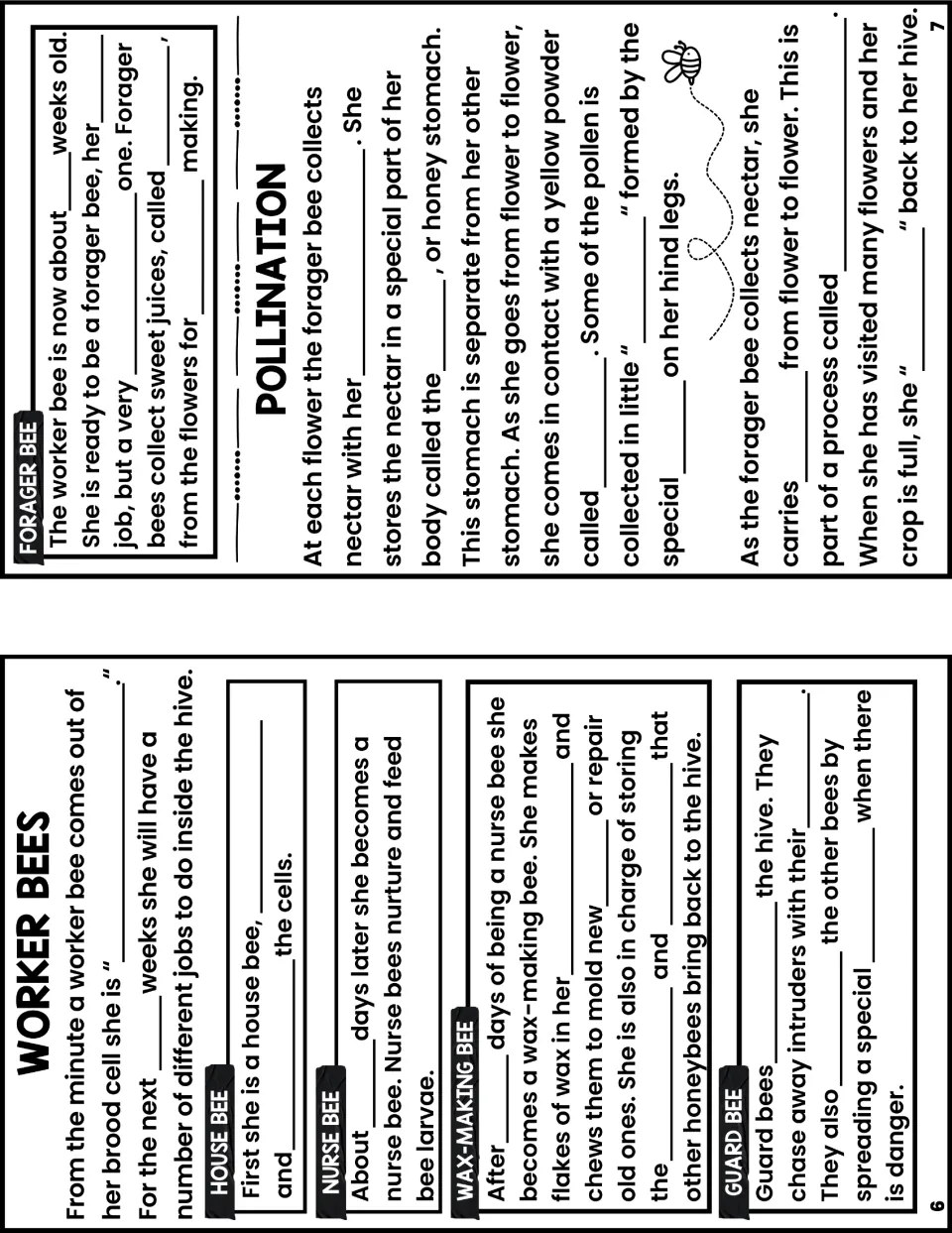 Notes booklet pages 6 and 7 cover house, nurse, wax-making, guard, and forager bee jobs plus pollination.