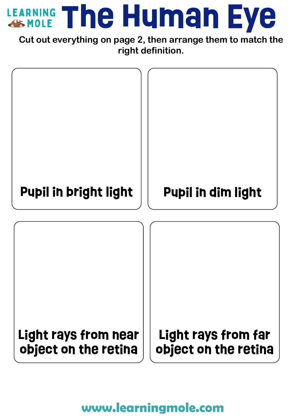Pupils and focusing: students match cut-outs to pupil in bright or dim light and light rays from near or far objects