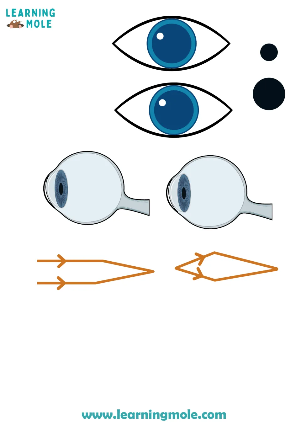 Eye cut-out pieces: two front-view eyes, small and large pupil circles, two side-view eyeballs and two light-ray paths