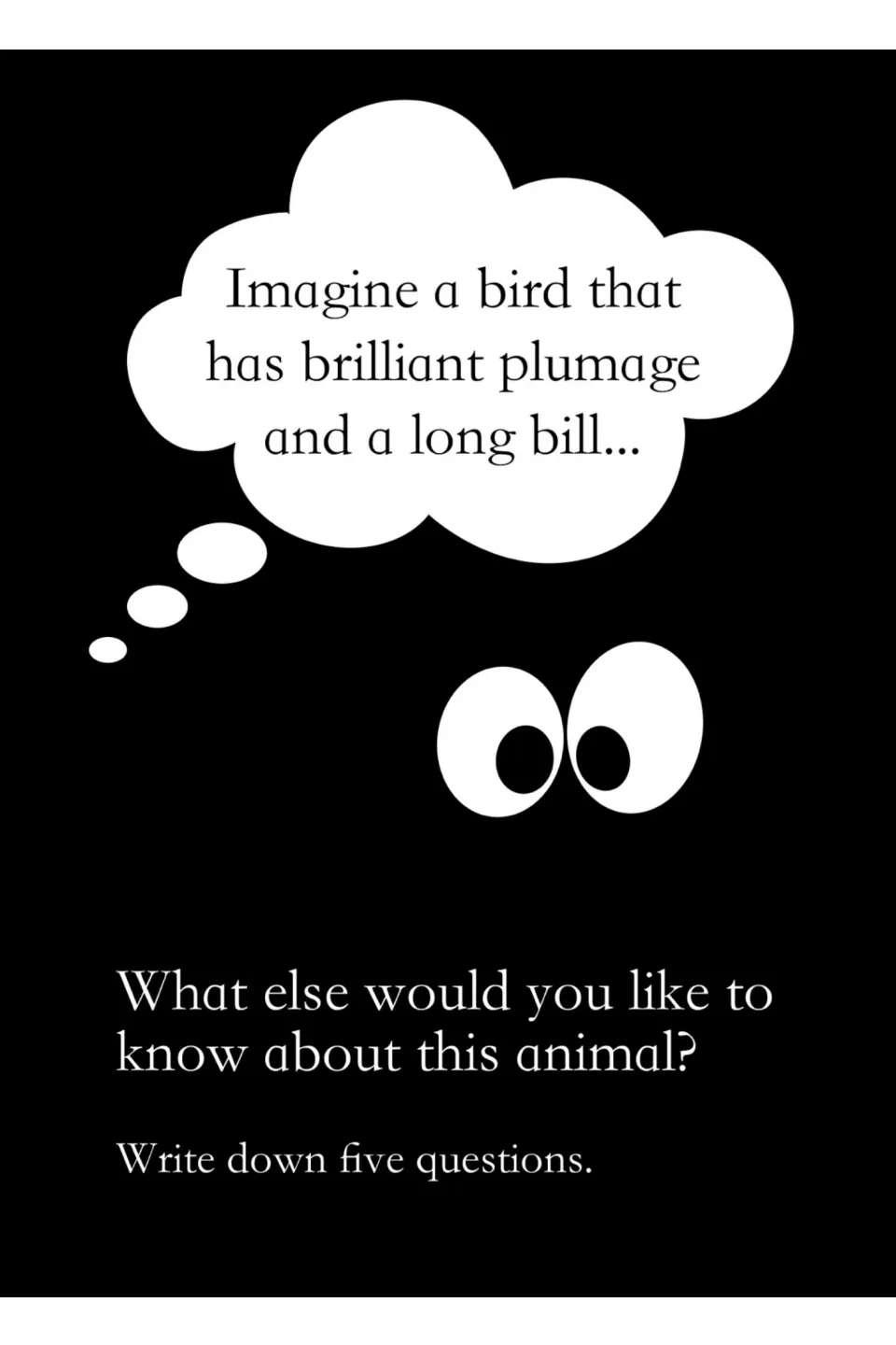Prereading prompt asks students to imagine a bird with brilliant plumage and a long bill, then write five questions
