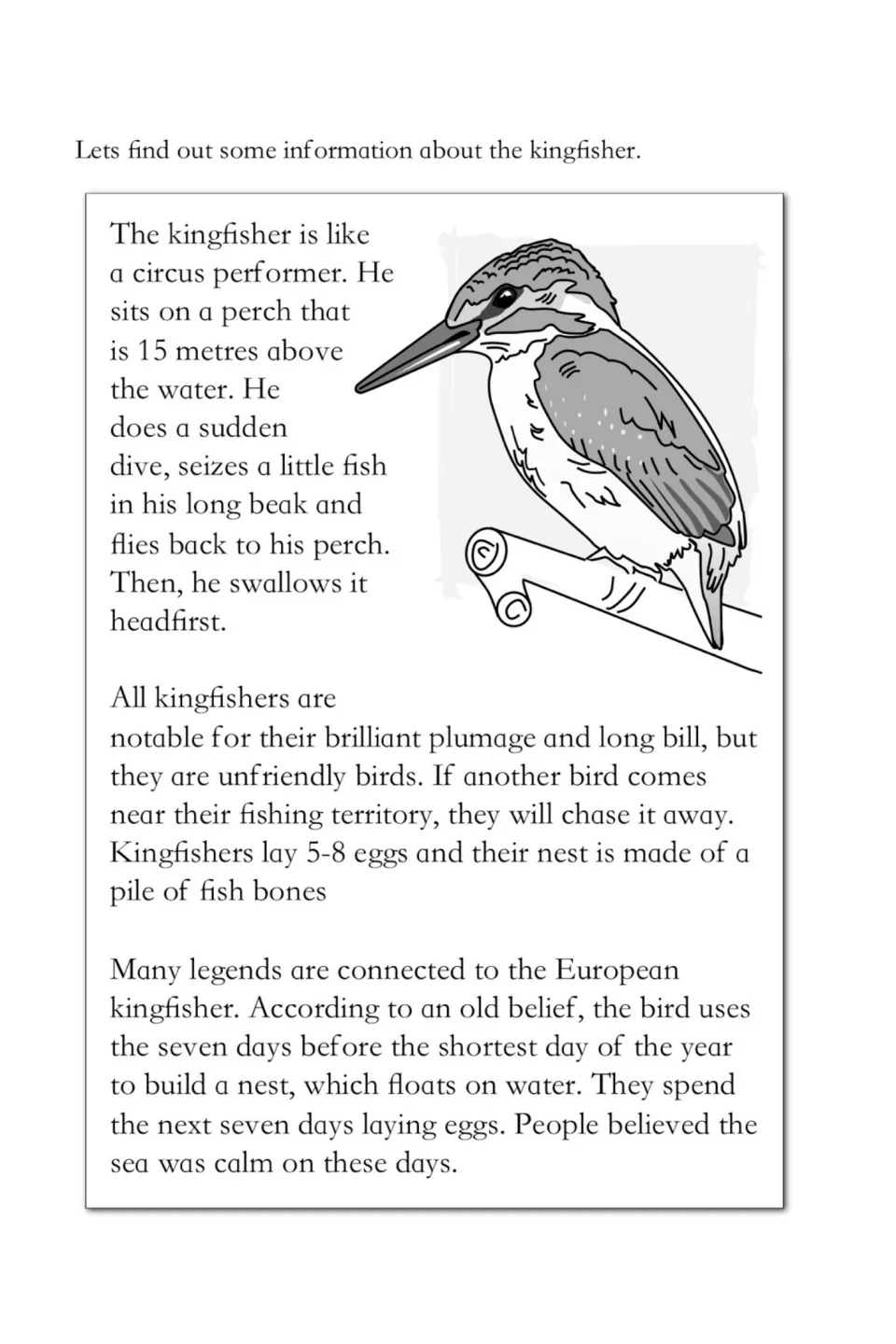 Kingfisher reading passage describes catching fish, bright plumage, territorial behavior, eggs, and an old legend