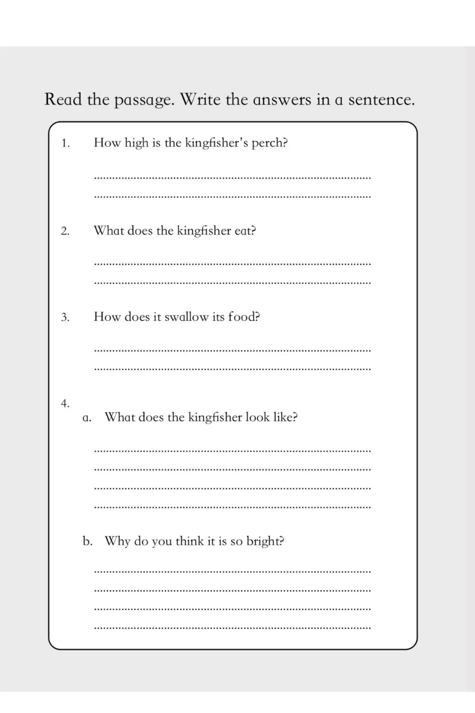 Kingfisher comprehension questions 1–4 ask about perch height, food, swallowing, appearance, and bright plumage