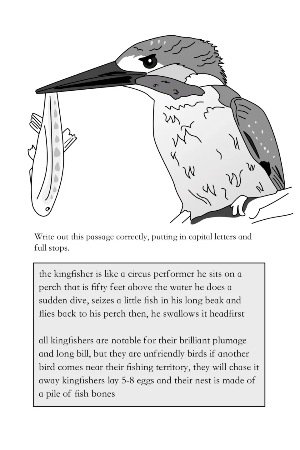 Kingfisher punctuation exercise asks students to rewrite two paragraphs with capital letters and periods