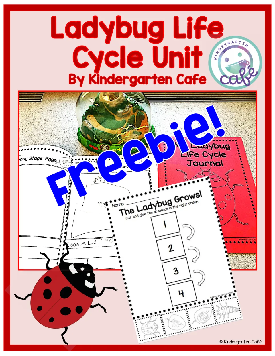 Ladybug Life Cycle Unit freebie cover by Kindergarten Cafe, showing a photo of a ladybug journal and cut-and-glue sheet