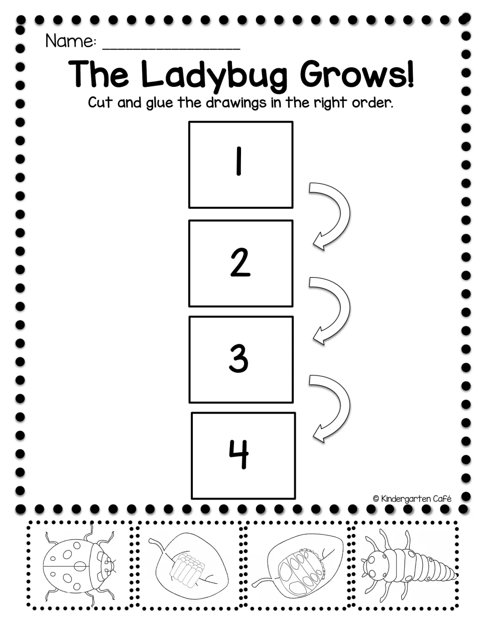 Ladybug life cycle sequencing: students cut out egg, larva, pupa and adult drawings and glue them in order in boxes 1 to 4