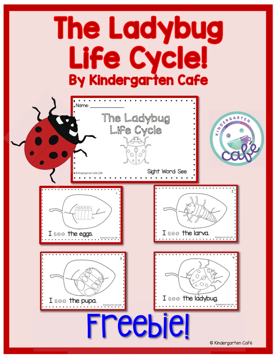 Ladybug life cycle freebie by Kindergarten Cafe: cover showing the booklet title page and its four egg-to-ladybug pages