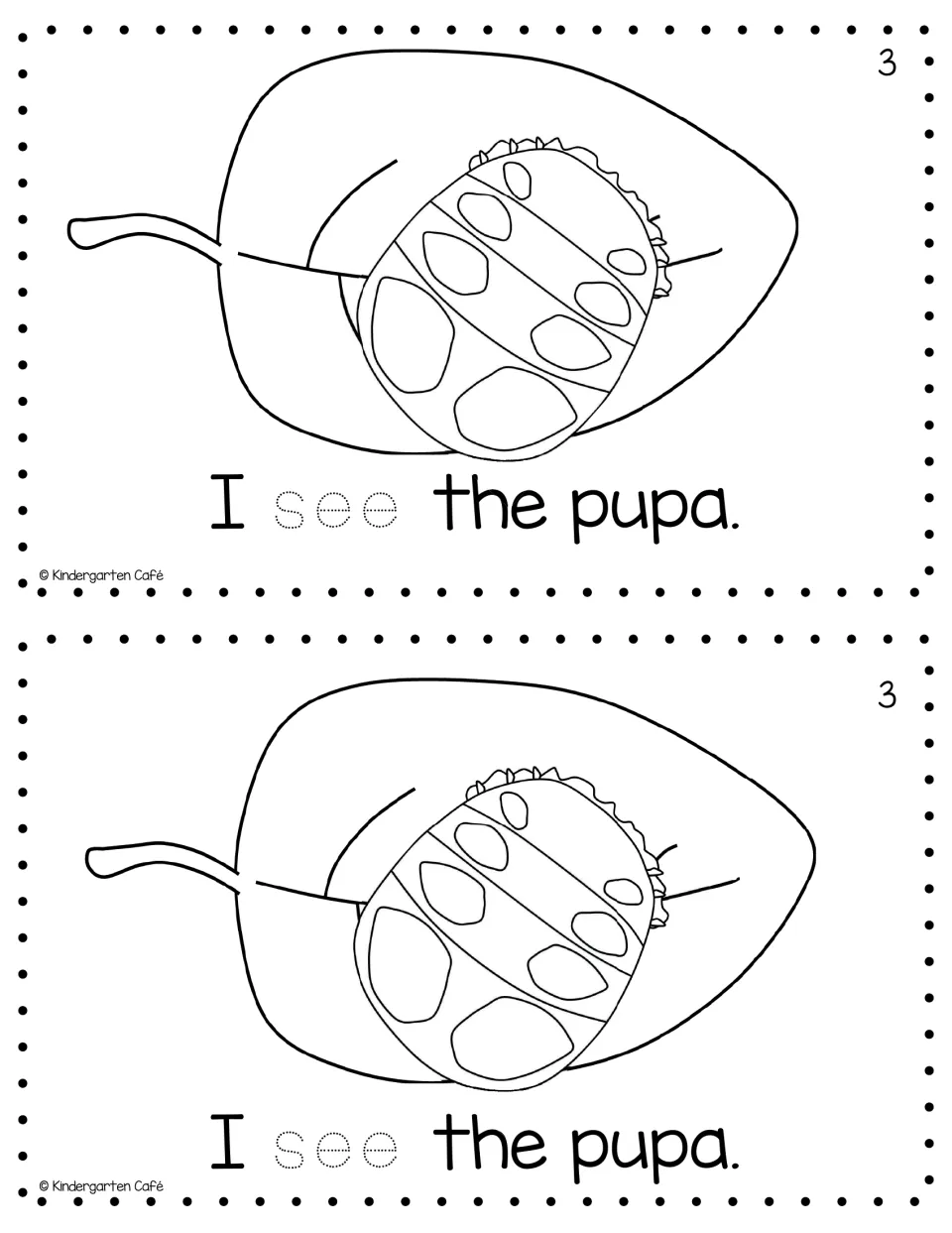 Life cycle stage 3, a pupa on a leaf: students read 'I see the pupa.' and trace the dotted sight word see