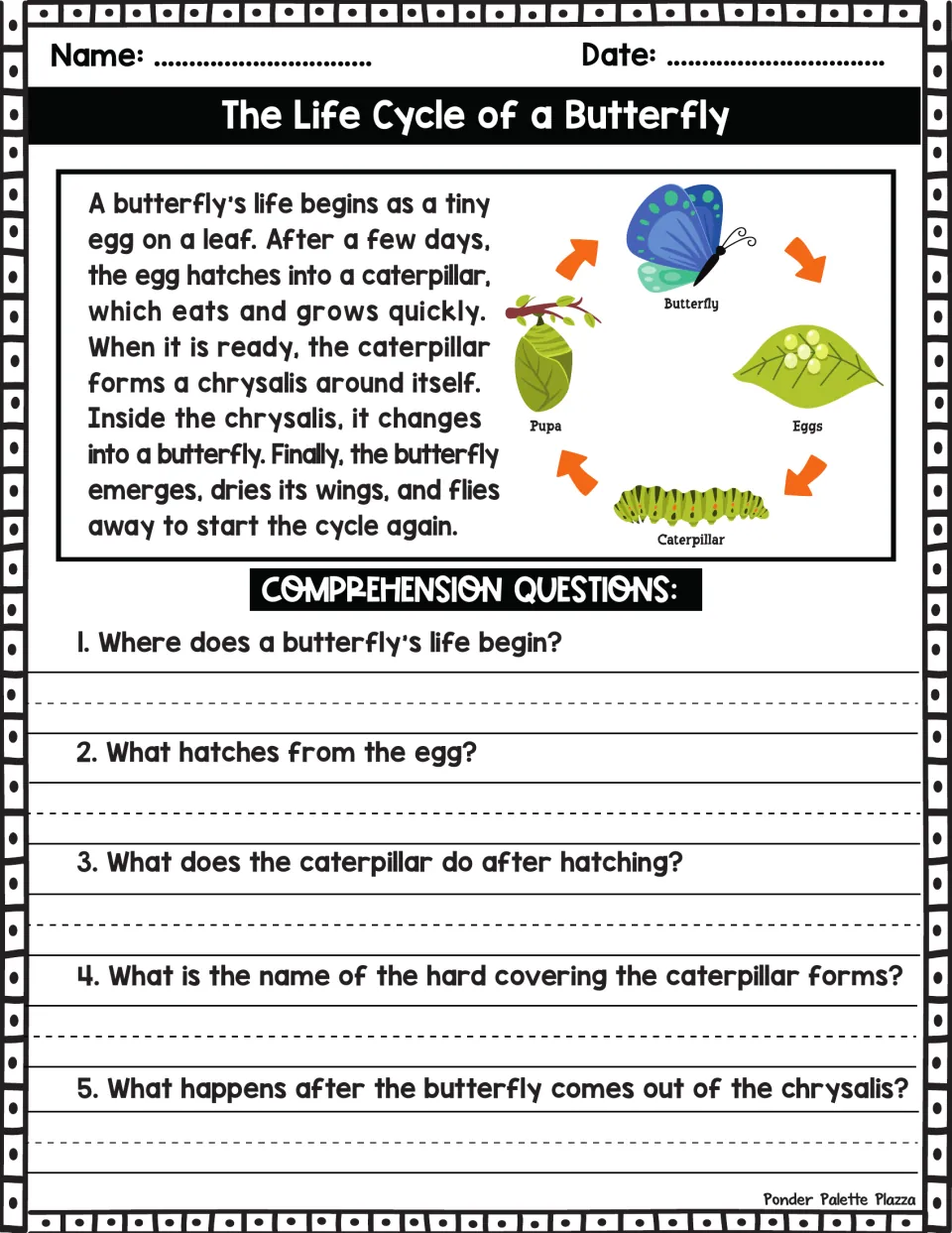 Butterfly life cycle passage with egg, caterpillar, pupa and butterfly diagram; students answer 5 comprehension questions