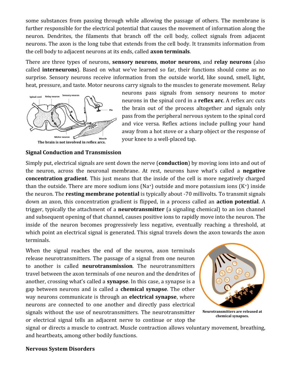 Neuron types and signal transmission: students read about reflex arcs, action potentials and synapses, with diagrams