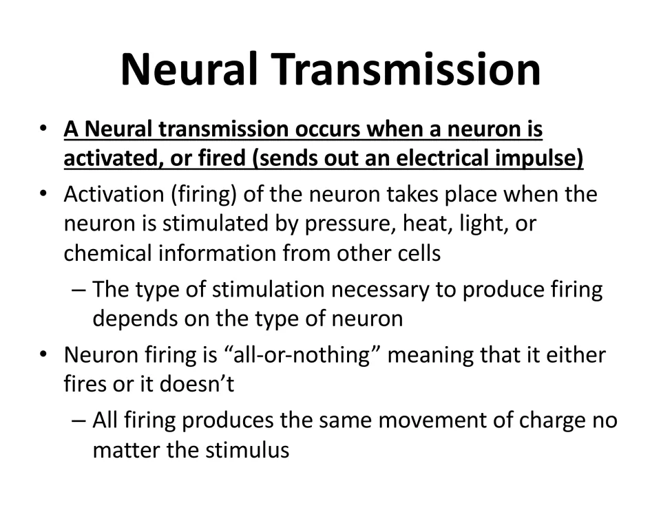 Neural transmission slide defines neuron firing, lists types of stimulation, and explains all-or-nothing firing.