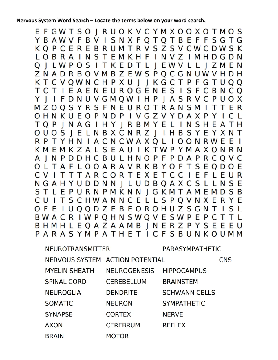 Nervous system word search: students find 25 terms such as neuron, synapse, myelin sheath and hippocampus in a letter grid