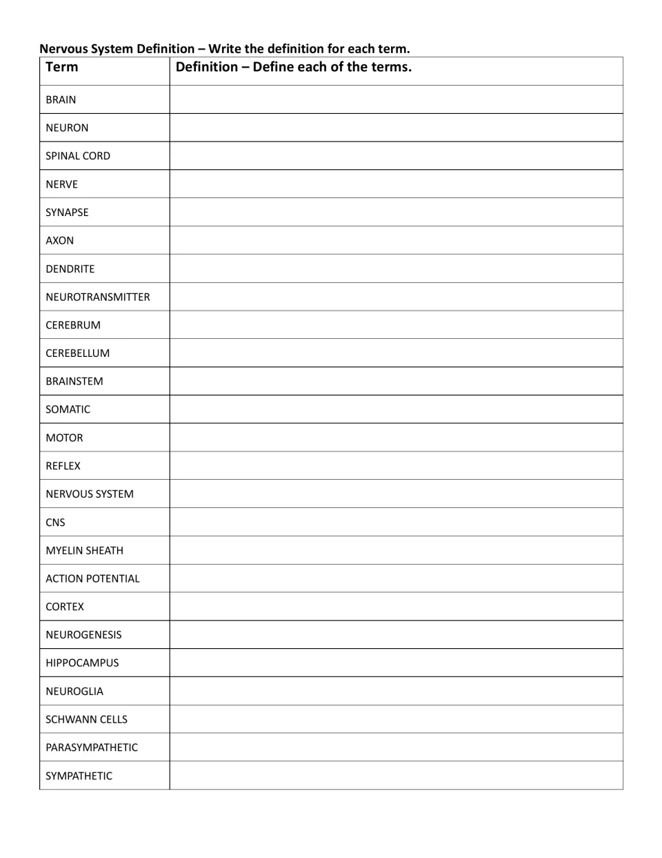 Nervous system definitions: students write a definition for 25 terms including axon, dendrite, cerebellum and Schwann cells