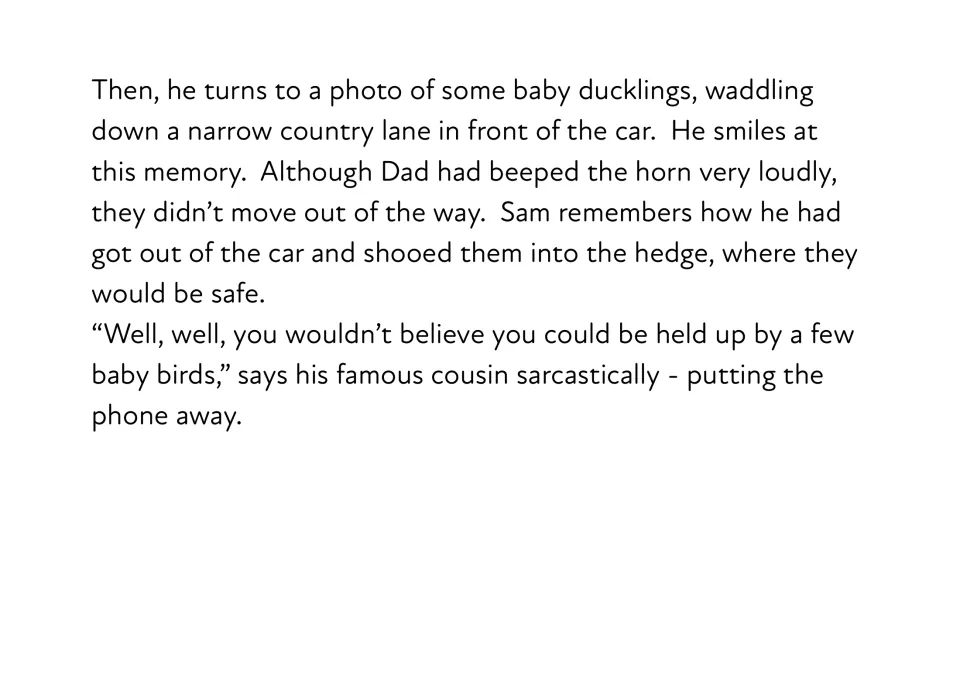 Story text: Sam turns to a photo of baby ducklings blocking a country lane and recalls shooing them into the hedge