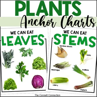 Parts of a Plant Anchor Chart – Edible Plants – cover