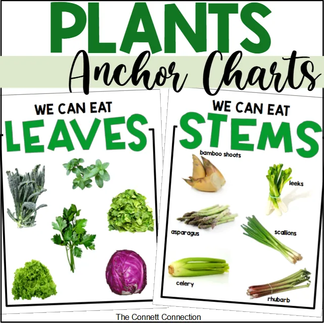 Parts of a Plant Anchor Chart – Edible Plants – cover
