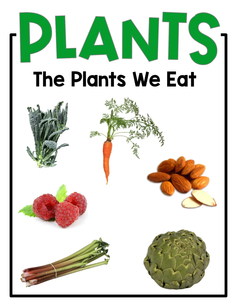 The Plants We Eat cover: kale, carrot, almonds, raspberries, rhubarb and an artichoke under a large PLANTS heading