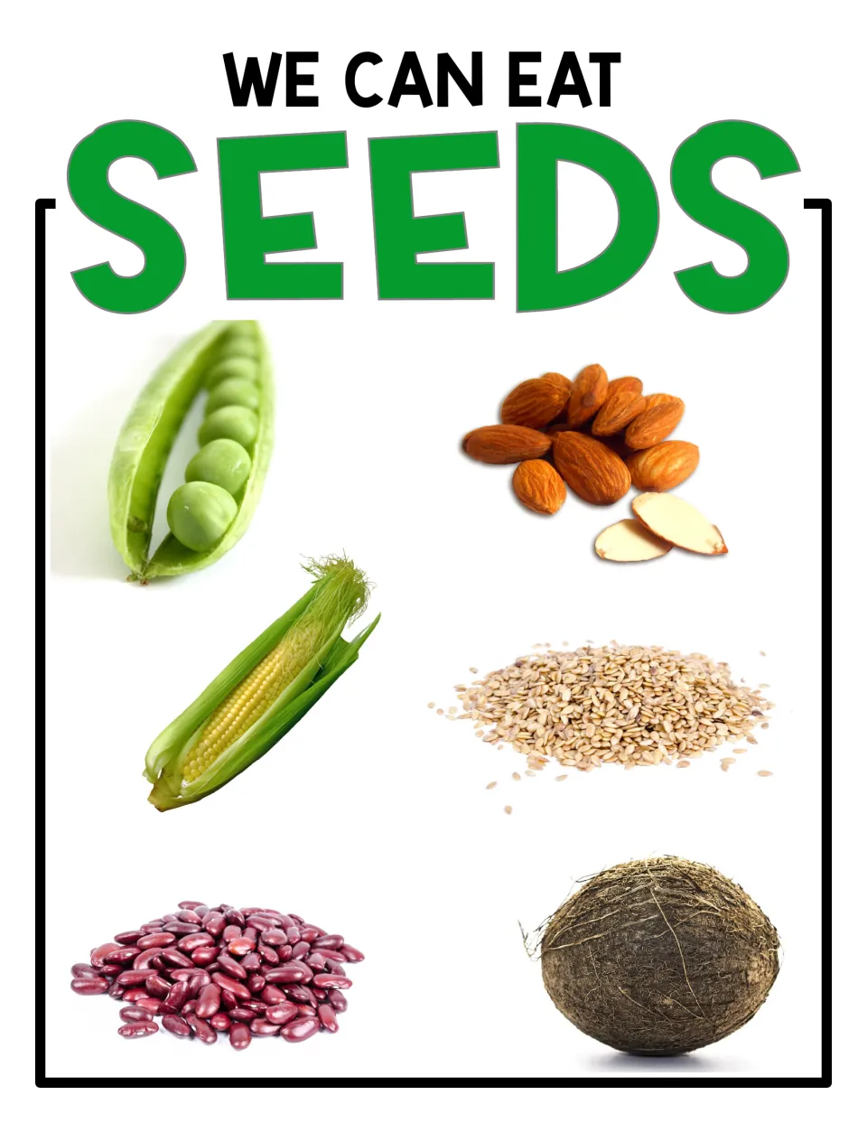 We Can Eat Seeds poster: unlabeled photos of peas in a pod, almonds, corn, sesame seeds, kidney beans and a coconut