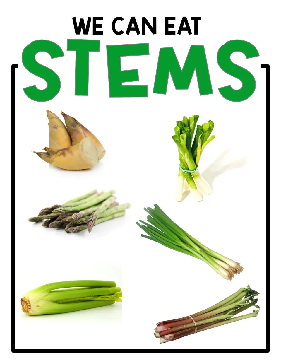 We Can Eat Stems poster: unlabeled photos of asparagus, celery, rhubarb, green onions and bamboo shoots