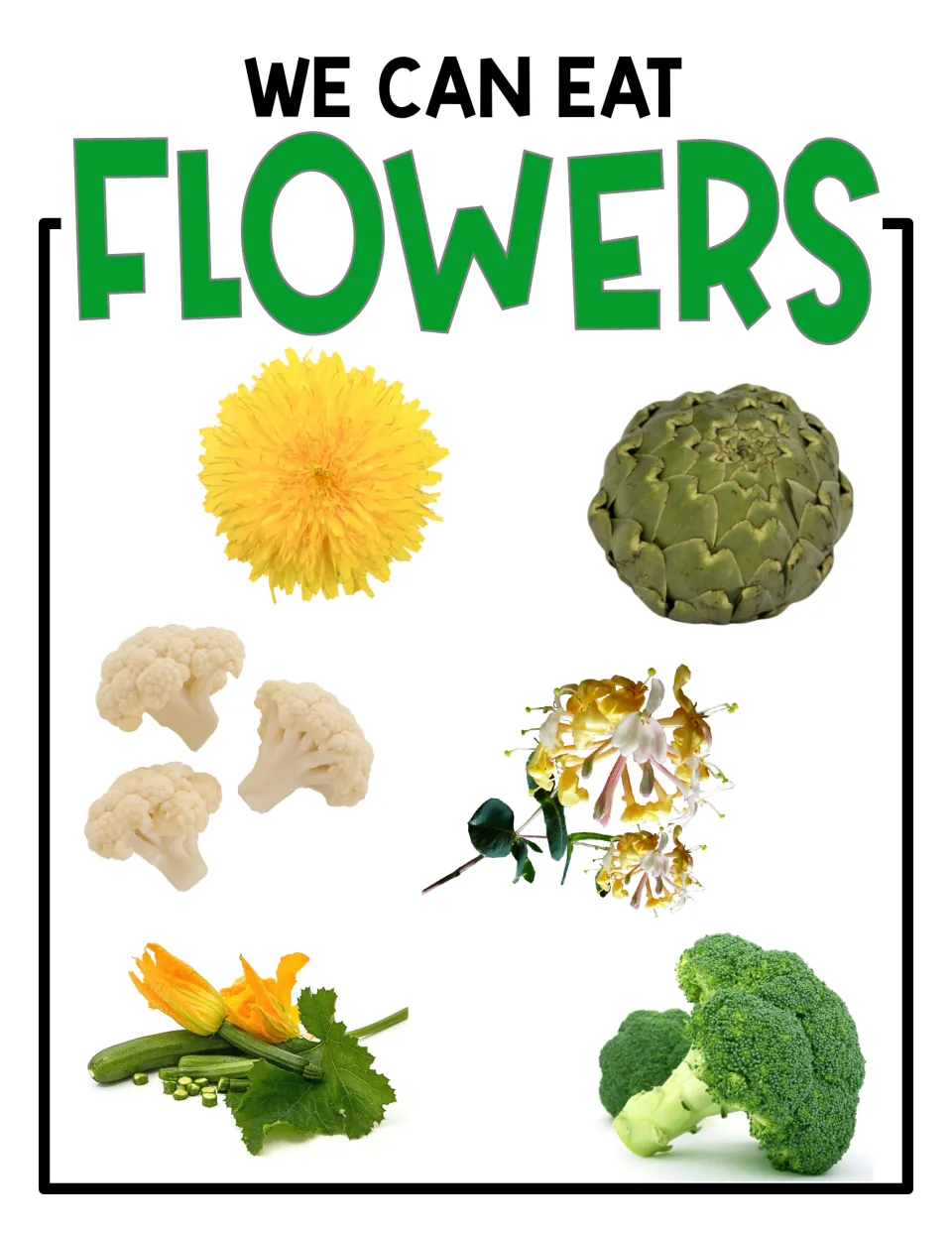 We Can Eat Flowers poster: unlabeled photos of a dandelion, artichoke, cauliflower, broccoli and squash blossoms