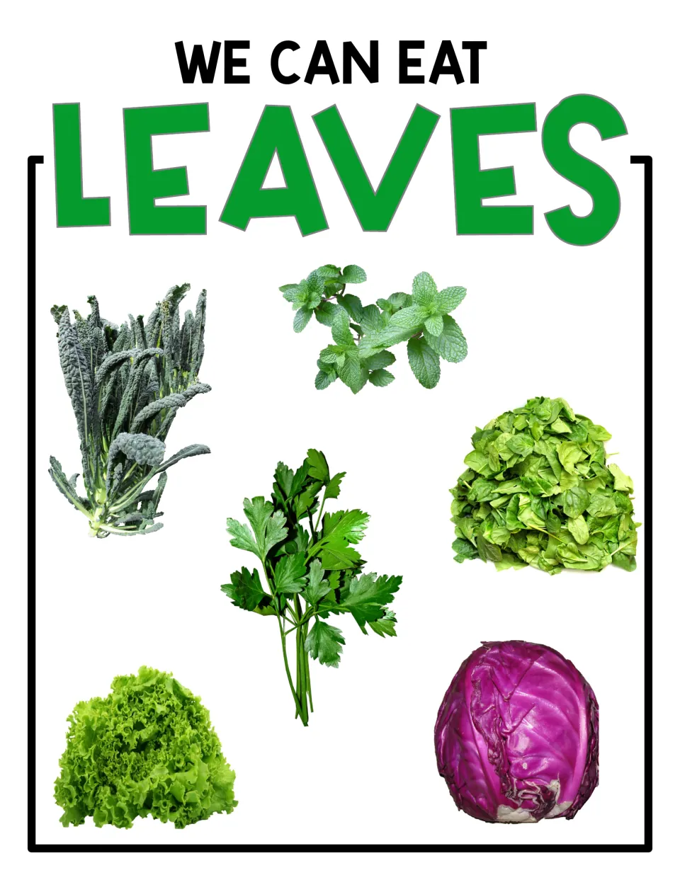 We Can Eat Leaves poster: unlabeled photos of kale, mint, spinach, parsley, lettuce and red cabbage