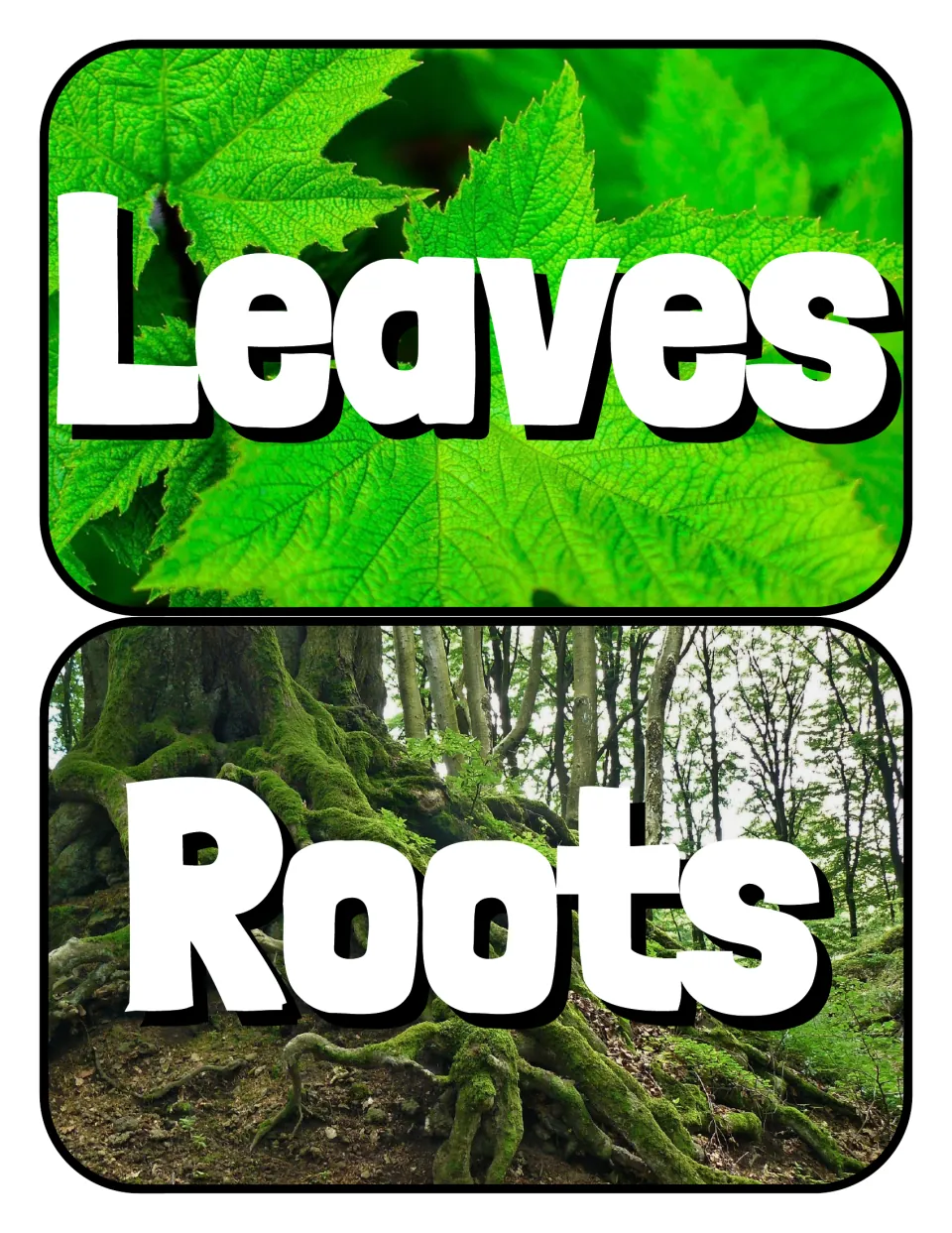 Plant part header cards: Leaves over a close-up photo of green leaves and Roots over a photo of mossy tree roots