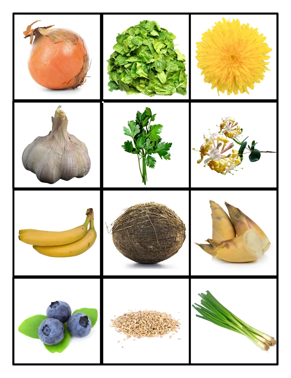 More food photo cards to sort: onion, spinach, dandelion, garlic, parsley, bananas, coconut, blueberries, green onions