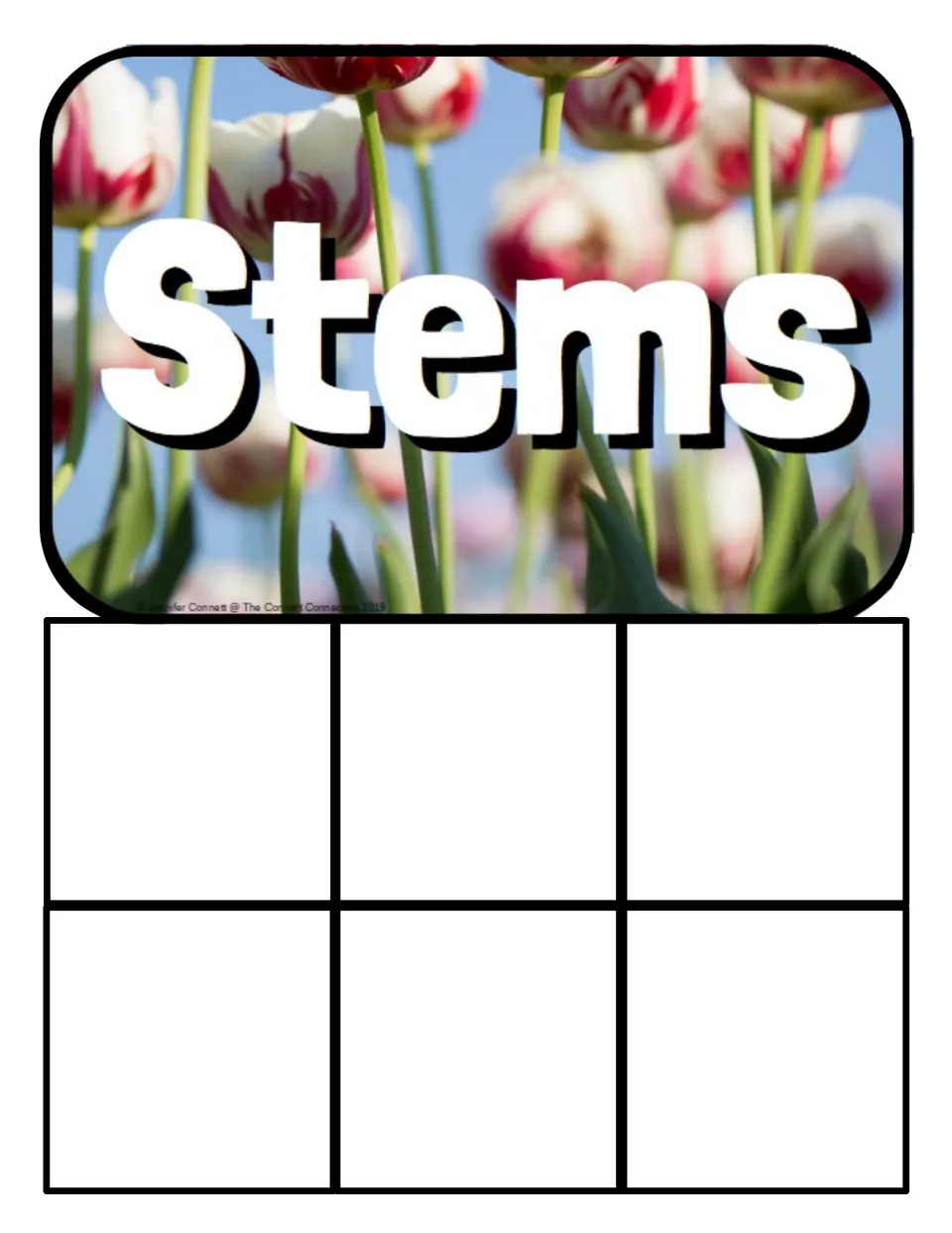 Stems sorting mat: a tulip stalk photo heading above six empty spots where students place the food cards that are stems
