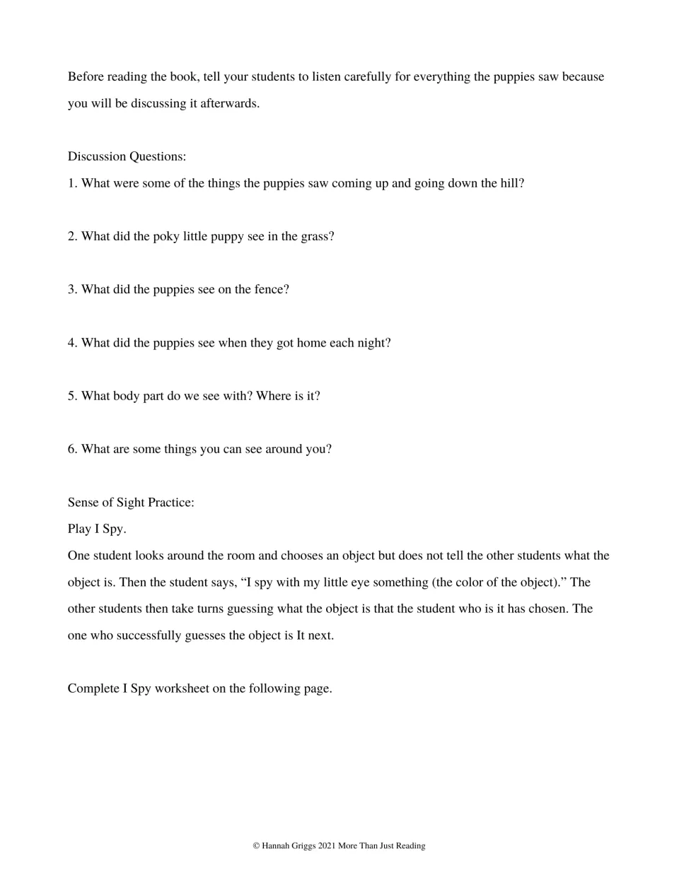 Six discussion questions about what the puppies saw and how we see, followed by directions for playing I Spy