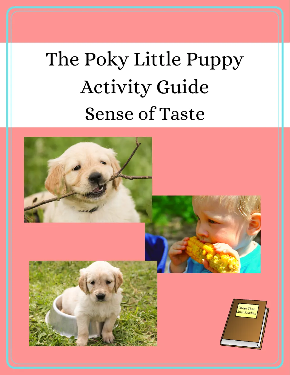 Activity guide cover identifying the story companion's focus with the headings 'Activity Guide' and 'Sense of Taste'