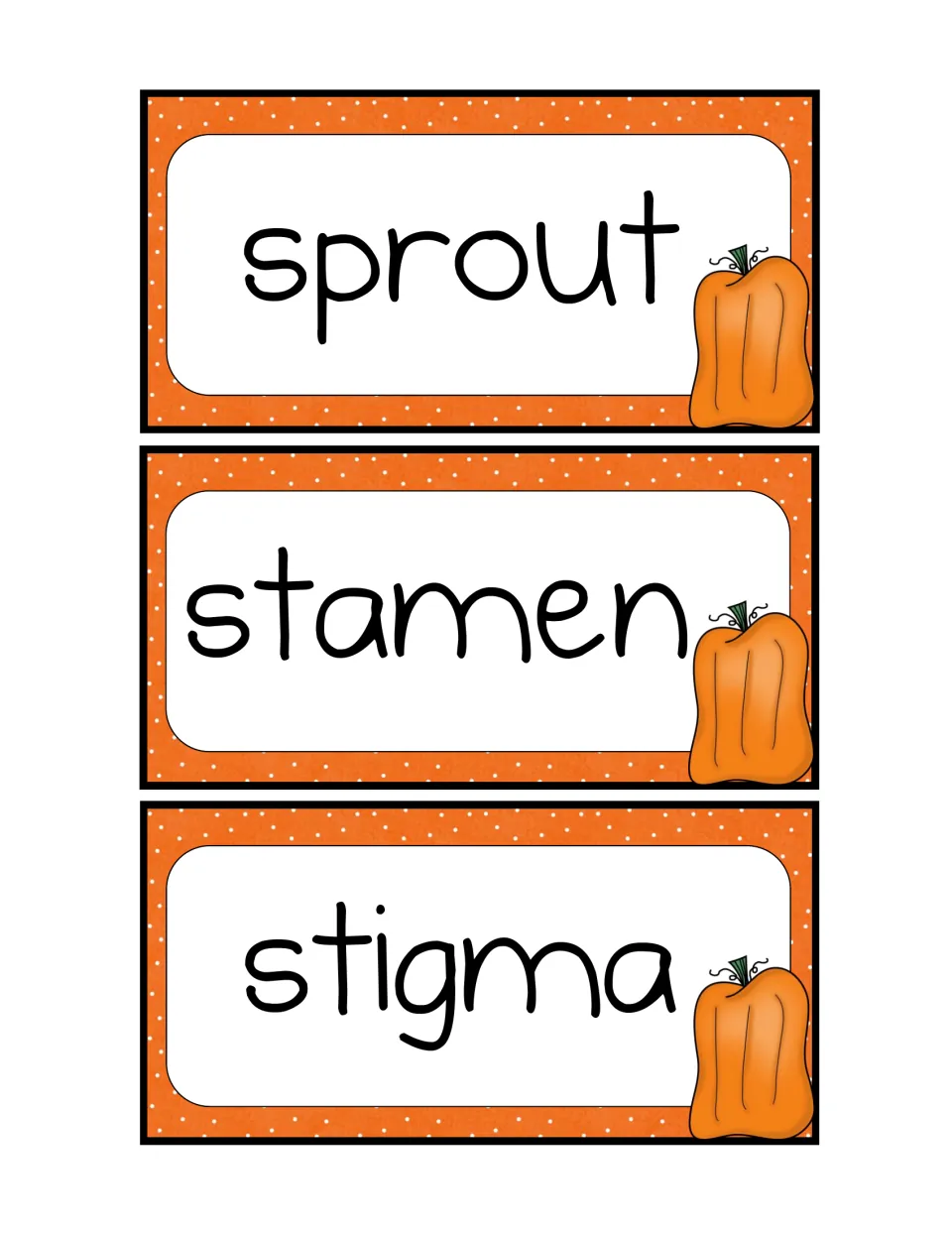 Pumpkin vocabulary flash cards for sprout, stamen and stigma, to match to unknown words met while reading aloud
