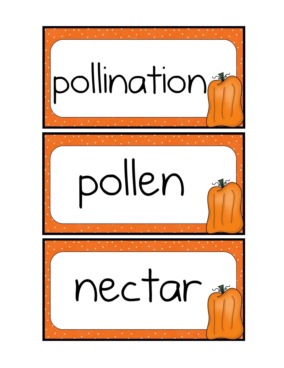 Pumpkin vocabulary flash cards for pollination, pollen and nectar, for matching new words as they come up in the story