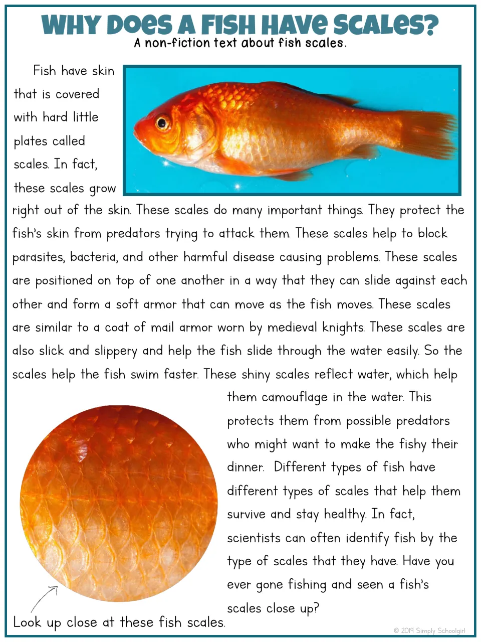 Why Does a Fish Have Scales? Nonfiction passage on how scales protect fish, with a goldfish photo and a close-up of scales