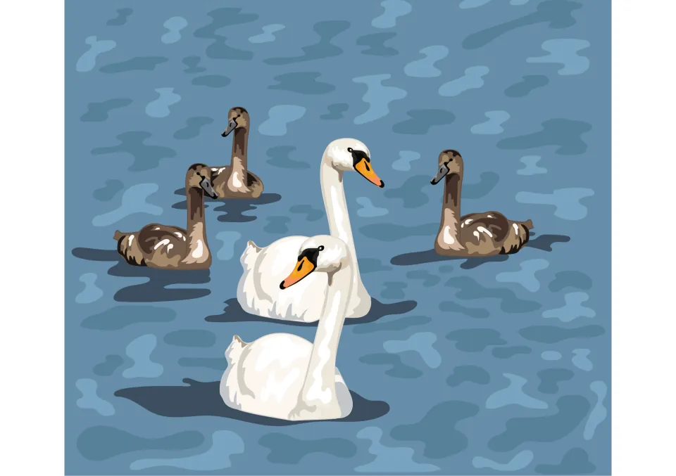 Story illustration: two white swans swim with three brown cygnets on rippling blue water